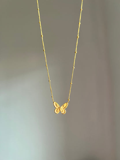 Mariposa