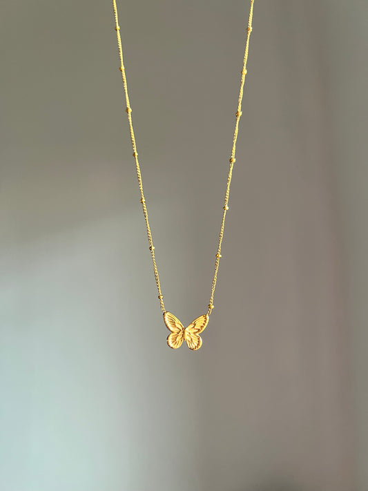 Mariposa